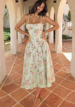 Summer women's clothing Chic sexy Low Back Slim Waist printed dress female Summer women's clothing Chic sexy Low Back Slim Waist printed dress female