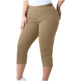 Women's Trousers Capri Pants Plus Size Elastic Waist Tight Pants
