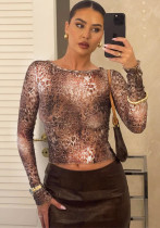 Women Summer Crop Lace Printed Top Women Summer Crop Lace Printed Top