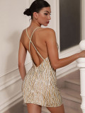 Sexy Sequined Strap V-neck Backless Women's Party Dress