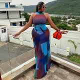 Women's Fashion Print Halter Low Back Sleeveless Color Matching Maxi Dress