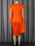 Women Round Neck Beaded Lace Long Sleeve Bodycon Formal Party Dress