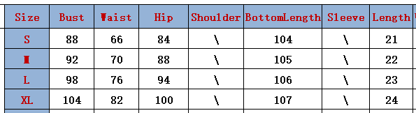 Women sexy Backless Zebra Print Mesh Top and Long Pants Two-piece