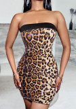Mesh Patchwork Black Dress