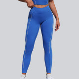 Yoga Quick-Dry Fitness Sports wear
