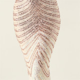 Plus Size Women V Neck Wave Gradient Beaded Beaded Formal Party Evening Dress