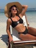 Solid Color Fashion Sexy High Waist Two-Piece Women Swimsuit