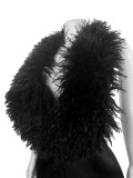 Women Casual Elegant Feather V Neck Halter Neck Sexy Romper
