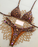 Women Two Pieces Bikini Sexy Beach Swimwear