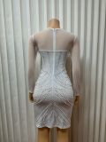 Round Neck Sexy Sheer Beaded Diamond Patchwork Feather Long Sleeve Dress for Women