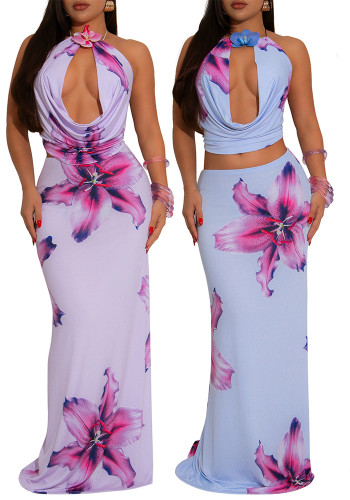 Women's sexy Draped collar low back halter neck slim fit print two piece skirt set
