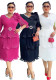 Elegant Formal Party Pleated Dress