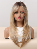 Gold Bangs Gradient Long Straight Wig - Matte Silk, Net (Full Head)
