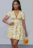 Deep V Neck Slim Waist Pleated Dress