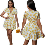 Deep V Neck Slim Waist Pleated Dress