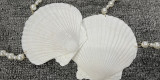Women's Trendy Summer Solid Color Shell Patchwork Pearl Bra Top