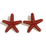 Women's Beach Style Starfish Pendant Thick Rope Necklace/Earrings