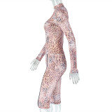 Women's Sexy Leopard Print Sheer Long Sleeve Top & Fitted Pants Set