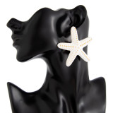 Women's Beach Style Starfish Pendant Thick Rope Necklace/Earrings