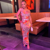 Women's Chic Flower Leopard Print V-neck Low Back Slim Long Dress