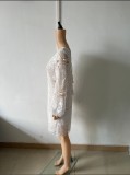 Spring/Summer Women's Lace Long-Sleeved V-Neck Solid Color Chiffon Dress