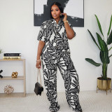Women Summer Printed Turndown Collar Short Sleeve Top and Wide Leg Pants Two-piece Set
