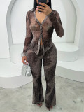 Trendy V-Neck Mesh Sunscreen Long-Sleeve Top Pants Set