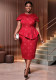 Elegant Lace Jacquard High-Waist Ruffle Bodycon Formal Party Evening Dress