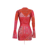Women Sexy Mesh Printed V Neck Dress
