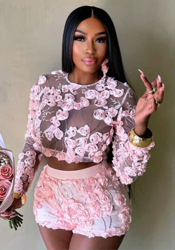 Women round neck long sleeve top and sexy shorts two-piece set