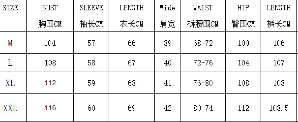 Women's Print Loose Fashion Lantern-Sleeve Blouse & Wide-Leg Pants Set