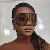 Women brown sunglasses glasses
