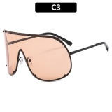 Women brown sunglasses glasses