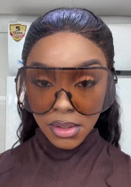 Women brown sunglasses glasses