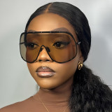 Women brown sunglasses glasses
