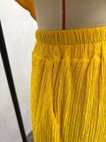 Women's Pleated Slash Shoulder Top and Pants Africa Chic Set