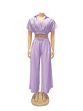 Women Casual Holidays Summer Turndown Collar Short Top & High-Waist Wide-Leg Pants Set