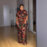 Elegant Career Casual Turn-Down Collar Printed Short-Sleeve Two-Piece Pants Set