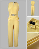 Women Sleeveless Hollow Crop Top And Straight Pants Two-Piece Set