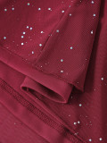 Mesh Bell Sleeve DSequin See-Through Mini Dress