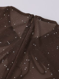 Mesh Bell Sleeve DSequin See-Through Mini Dress