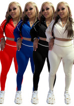 Women's Sexy Elastic Waist Long Sleeve Crop Top Slim Tight Pants Two-Piece Set