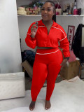 Women's Sexy Elastic Waist Long Sleeve Crop Top Slim Tight Pants Two-Piece Set