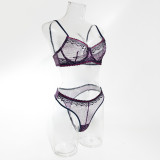 Sexy Lingerie Contrast See-Through Bra & Panty Set