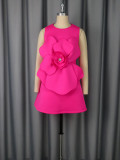 Women Round Neck sleeveless party dress