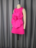 Women Round Neck sleeveless party dress