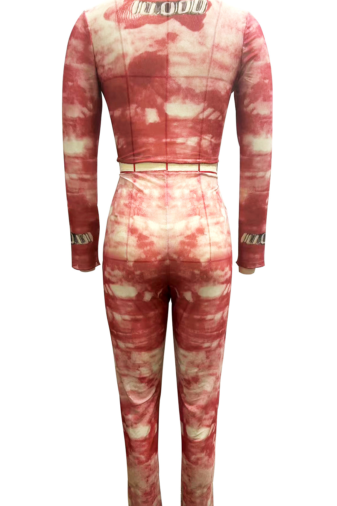 Women Spring Mesh Printed Round Neck Long Sleeve Top and Pants Two Piece Set