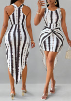 Women's Fashion Elegant Striped Print Dress Women's Fashion Elegant Striped Print Dress
