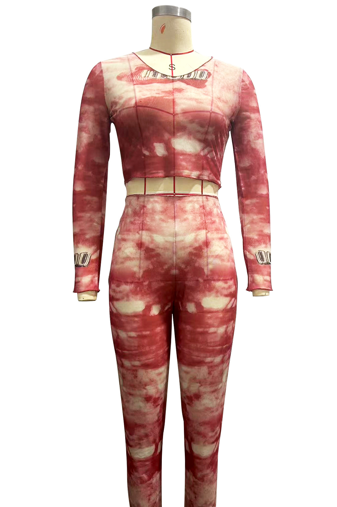 Women Spring Mesh Printed Round Neck Long Sleeve Top and Pants Two Piece Set