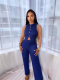 Women's Fashion Slim Vest High Waist Wide Leg Pants Two-Piece Set